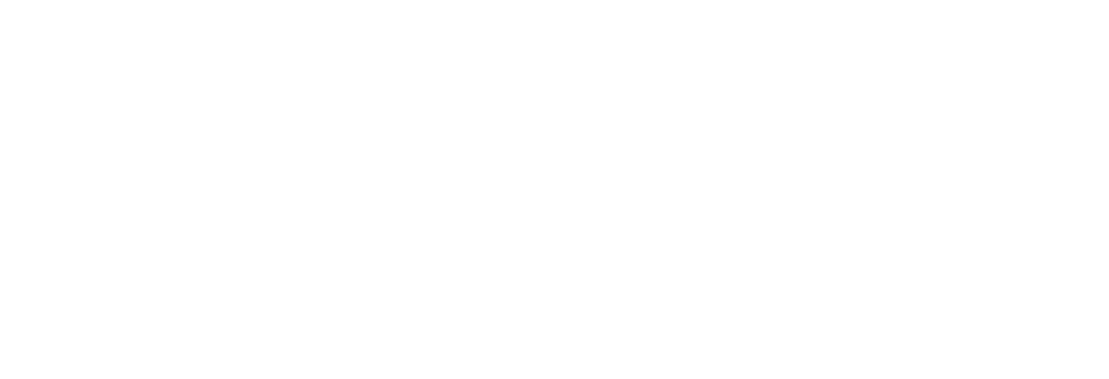 micMAC logo white